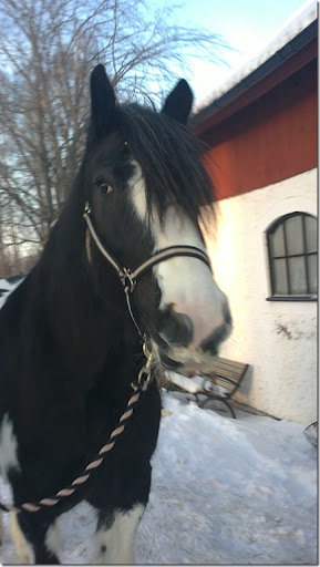 Mor Dotter Avsugning Porr Filmer - Mor Dotter Avsugning Sex Mor Dotter Avsugning Porr Filmer - Mor Dotter Avsugning Sex